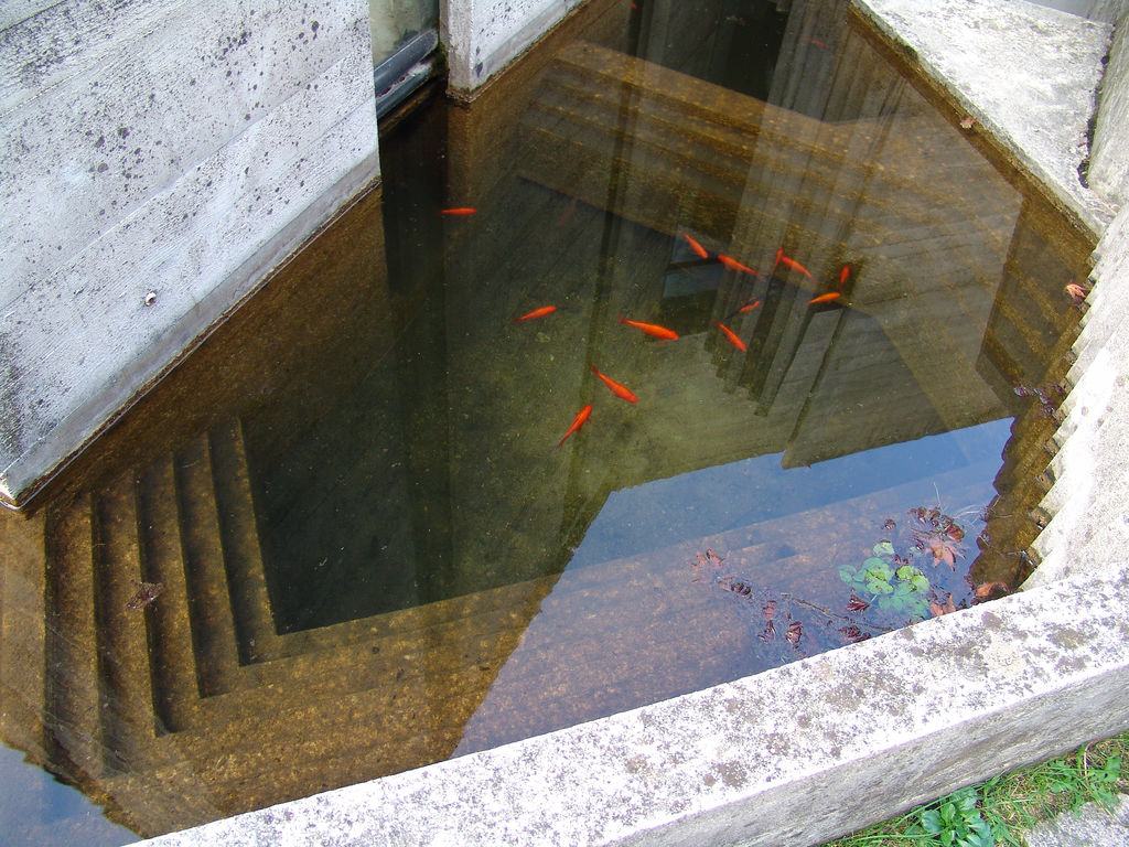 Ad:  scarpa6.jpg
Gsterim: 1166
Boyut:  212.2 KB