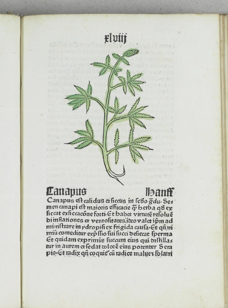 Ad: PeterSchoeffer5.jpg
Gösterim: 406
Boyut: 109.4 KB