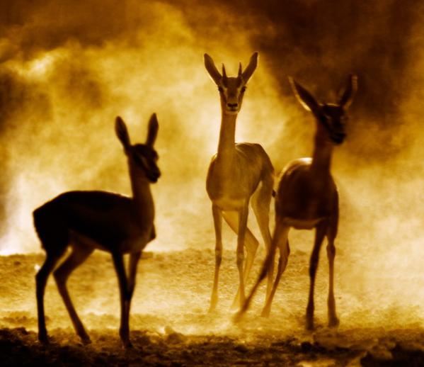 Ad:  Run_by_h9351.jpg
Gsterim: 231
Boyut:  36.9 KB