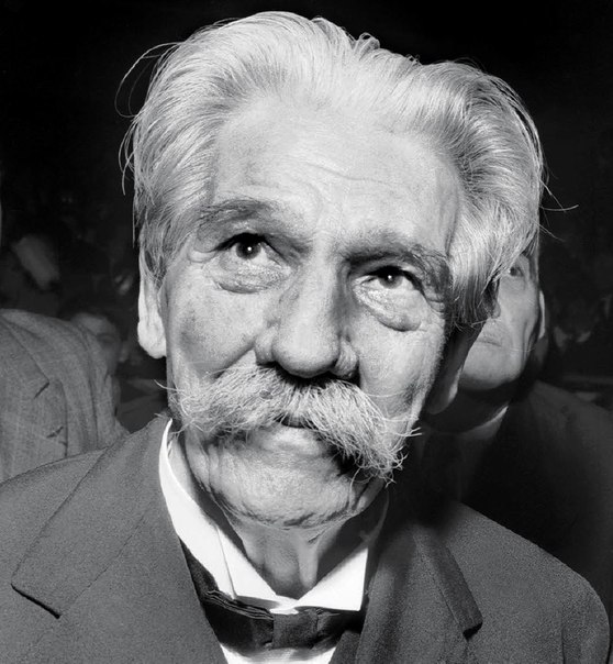 Albert Schweitzer Kimdir, Hayatı ve Resimleri