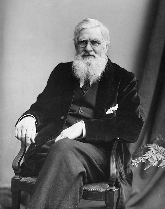 Ad:  Alfred Russel Wallace.jpg
G�sterim: 337
Boyut:  126.4 KB