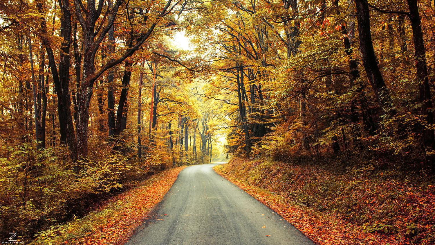 Ad:  20151010_dsc_9411_0___04r1wm_by_realitydream-d9dkki6.jpg
Gsterim: 93
Boyut:  475.3 KB