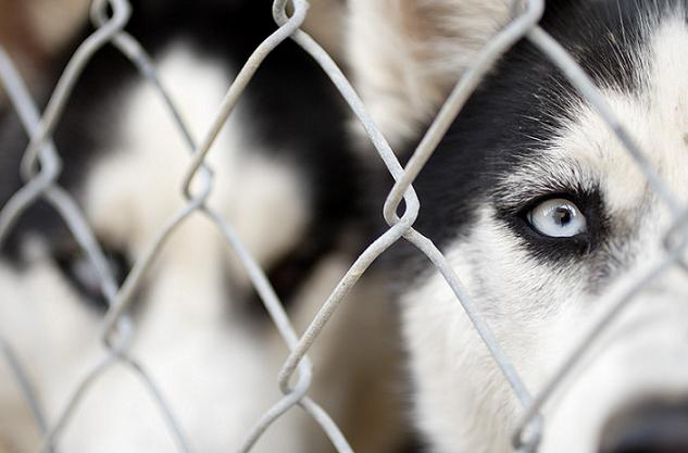 Ad:  Caged_by_DivineError.jpg
Gsterim: 216
Boyut:  31.4 KB