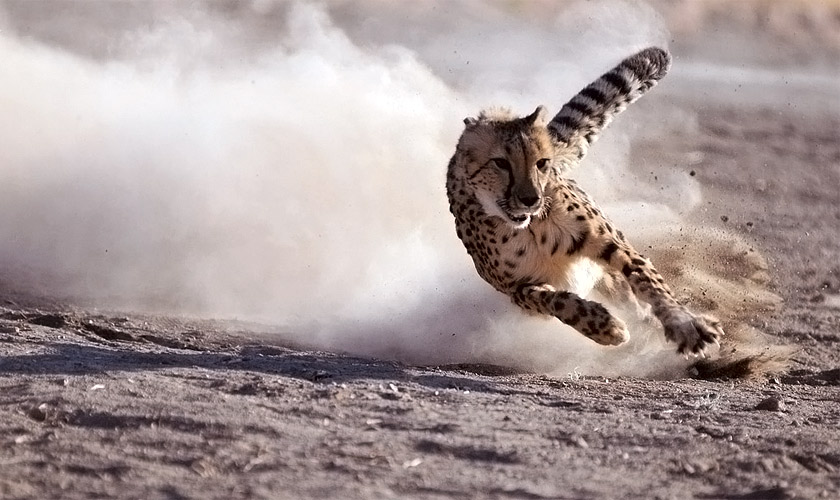 Ad:  ita3.jpg
Gsterim: 1035
Boyut:  118.4 KB