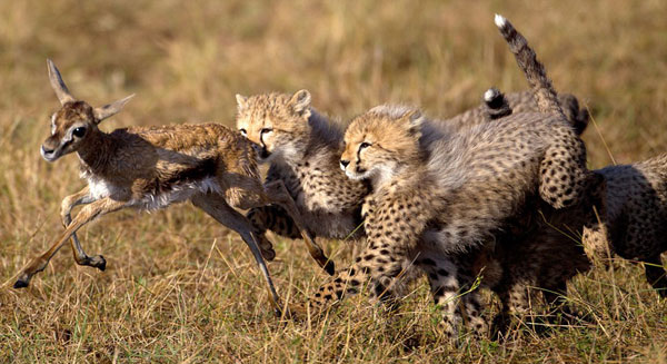 Ad:  ita9.jpg
Gsterim: 1139
Boyut:  68.8 KB