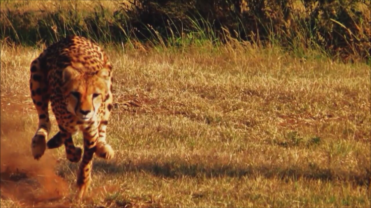 Ad:  ita14.jpg
Gsterim: 783
Boyut:  188.0 KB