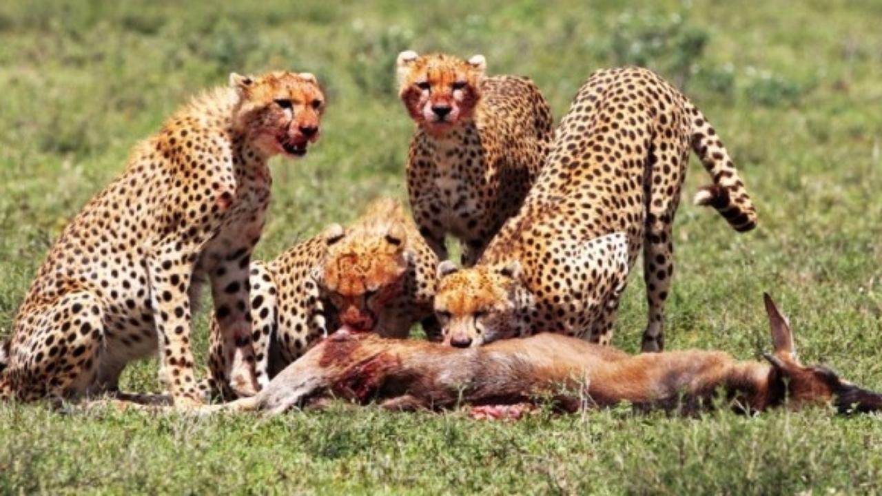 Ad:  ita18.jpg
Gsterim: 1010
Boyut:  142.4 KB