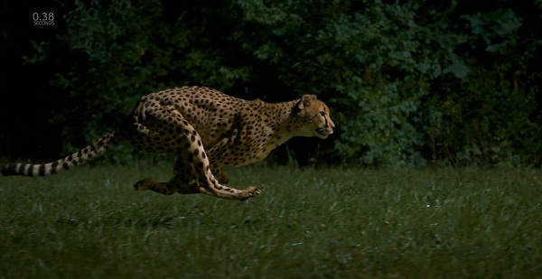 Ad:  ita19.jpg
Gsterim: 695
Boyut:  57.4 KB