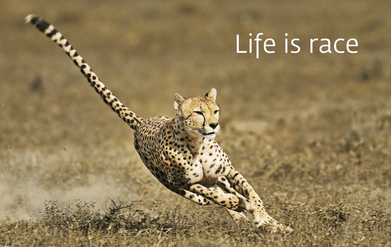 Ad:  ita20.jpg
Gsterim: 714
Boyut:  91.9 KB