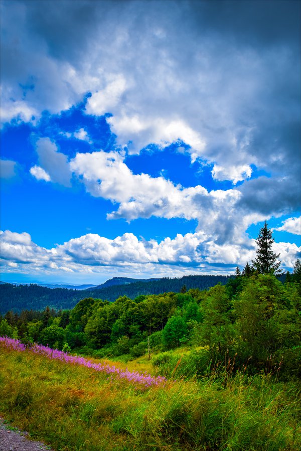 Ad:  come__and_stay_a_while__by_aenea_jones-d9e7af7.jpg
Gsterim: 238
Boyut:  132.7 KB