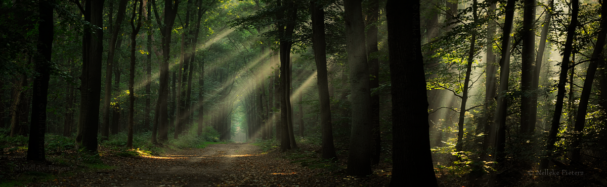 Ad:  wake_up_by_nelleke-d9gjd24.png
Gsterim: 89
Boyut:  992.2 KB