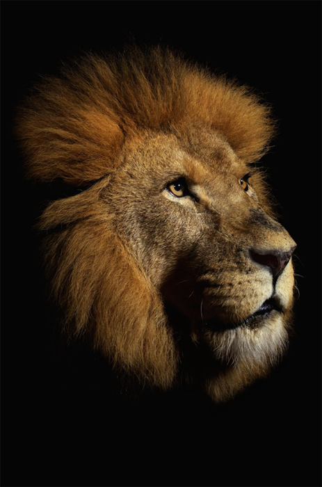 Ad:  vincentjmusi5.png
Gsterim: 810
Boyut:  360.4 KB