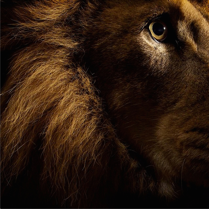 Ad:  musi.jpg
Gsterim: 269
Boyut:  460.3 KB