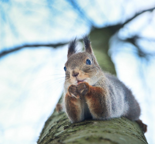 Ad:  13347660-R3L8T8D-650-2.jpg
Gsterim: 122
Boyut:  96.2 KB