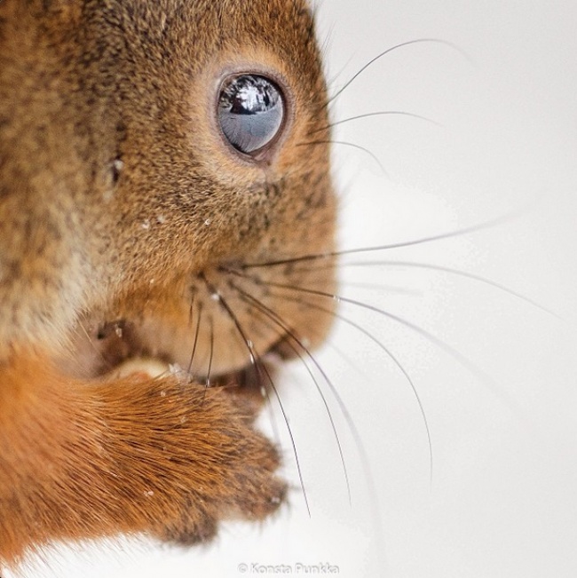 Ad:  13358810-R3L8T8D-650-18.jpg
Gsterim: 184
Boyut:  132.5 KB