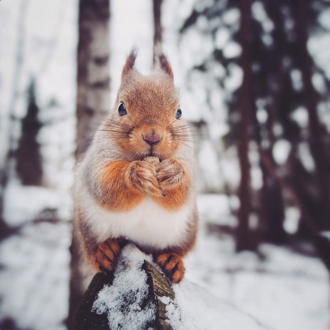 Ad:  13358510-R3L8T8D-650-15.jpg
Gsterim: 200
Boyut:  109.5 KB