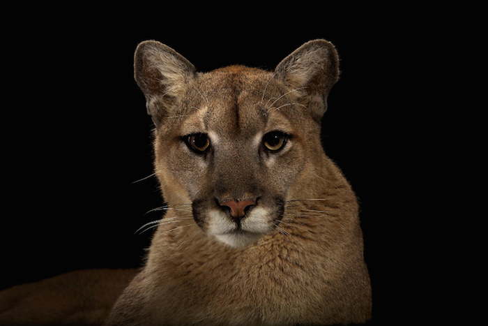 Ad:  vincentjmusi4.png
Gsterim: 218
Boyut:  277.9 KB