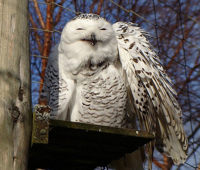 Ad:  4240305-R3L8T8D-650-h8r1yAdNanoC_431777_PL.jpg
Gsterim: 356
Boyut:  172.3 KB