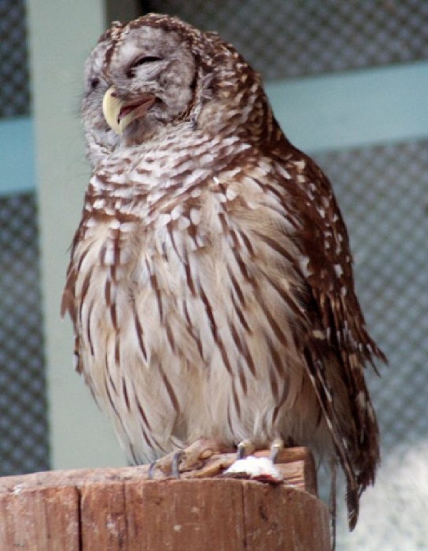 Ad:  4240355-R3L8T8D-600-7.jpg
Gsterim: 157
Boyut:  143.6 KB