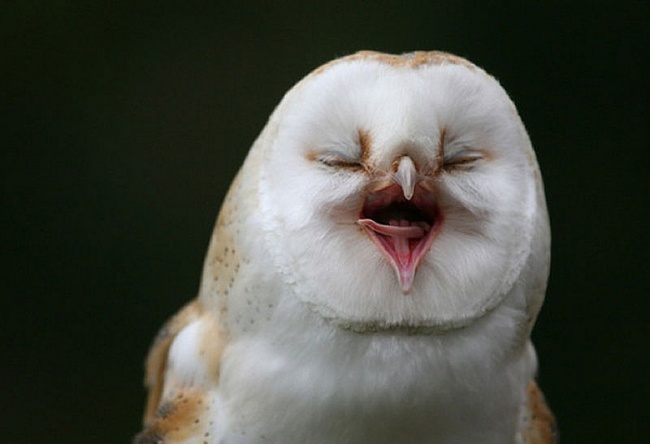 Ad:  4240505-R3L8T8D-650-tQbv5iOPBnG8_431758_PL.jpg
Gsterim: 161
Boyut:  58.9 KB