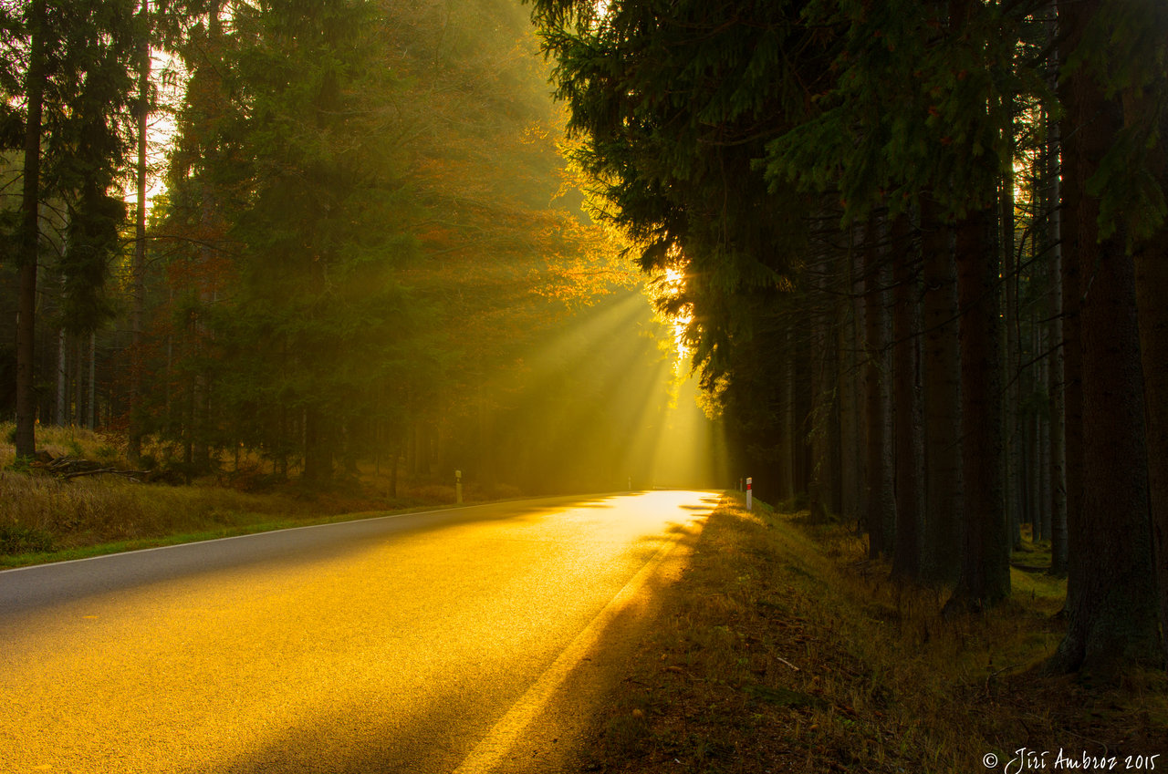 Ad:  bohemian_forest_by_sigfodr-d9h77aj.jpg
Gsterim: 91
Boyut:  317.2 KB