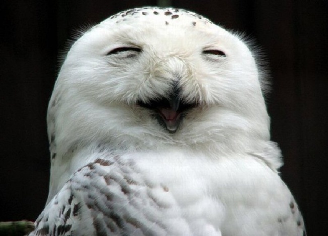 Ad:  14272610-R3L8T8D-650-4240205-R3L8T8D-650-1.jpg
Gsterim: 250
Boyut:  81.4 KB