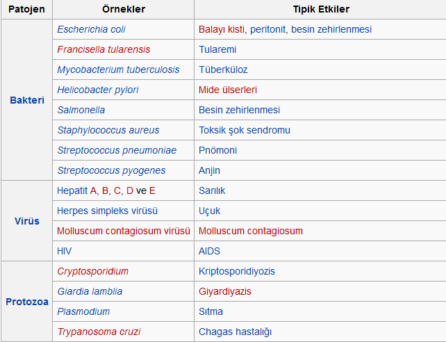 Ad: 2015-11-29_23h16_58.png
Gösterim: 443
Boyut: 23.9 KB