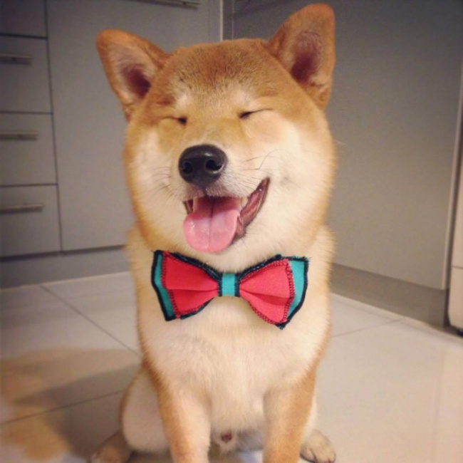 Ad:  k5.jpg
Gsterim: 285
Boyut:  89.3 KB