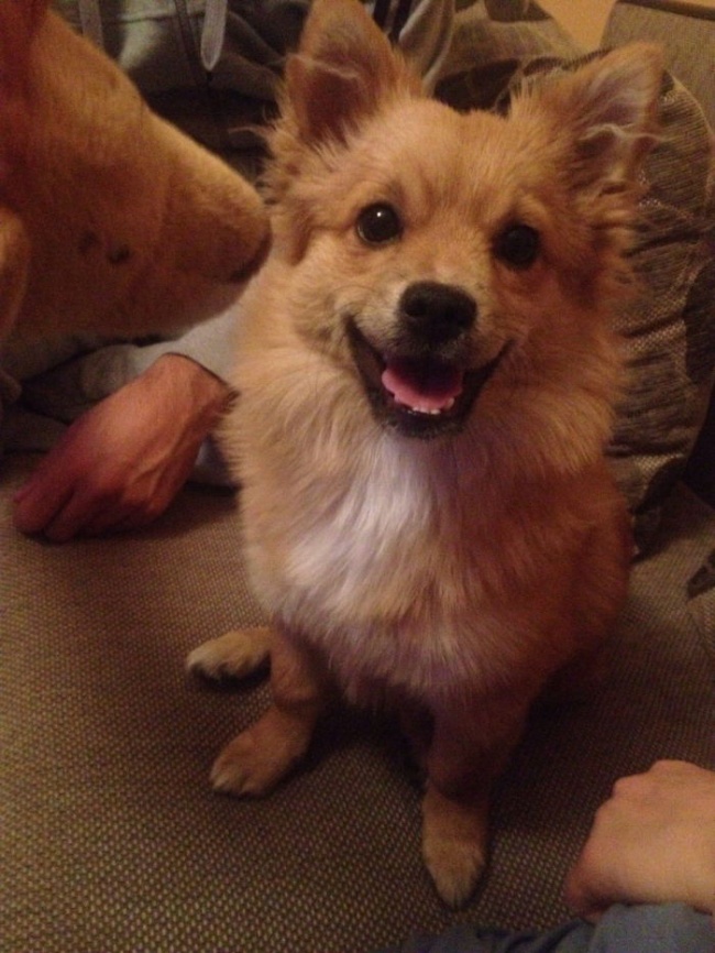 Ad:  k18.jpg
Gsterim: 176
Boyut:  168.7 KB