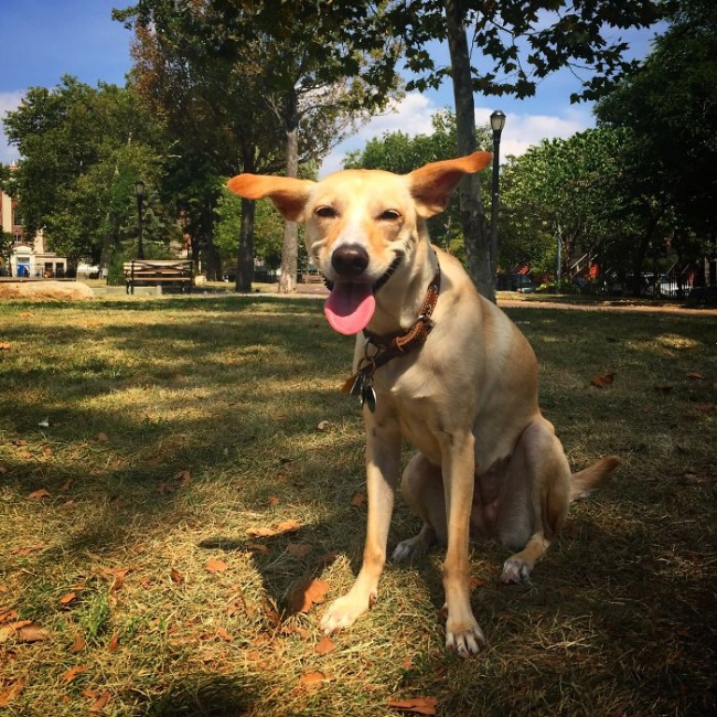 Ad:  k20.jpg
Gsterim: 143
Boyut:  239.8 KB