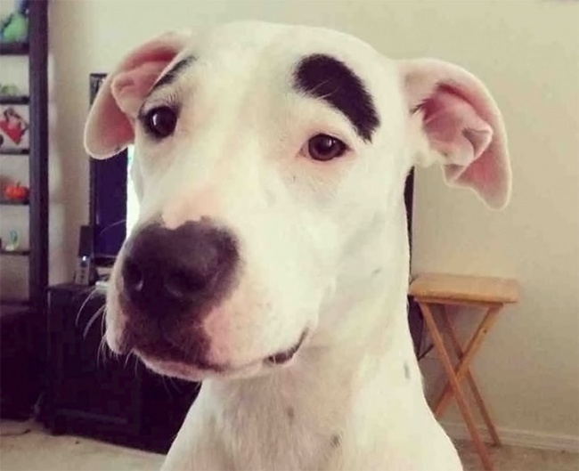 Ad:  k22.jpg
Gsterim: 75
Boyut:  73.3 KB