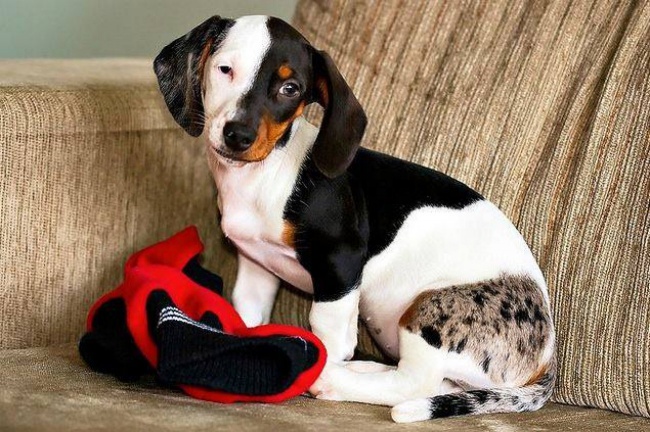 Ad:  k24.jpg
Gsterim: 91
Boyut:  136.5 KB