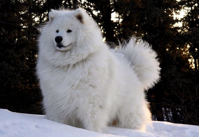 Ad:  k41.jpg
Gsterim: 211
Boyut:  88.5 KB