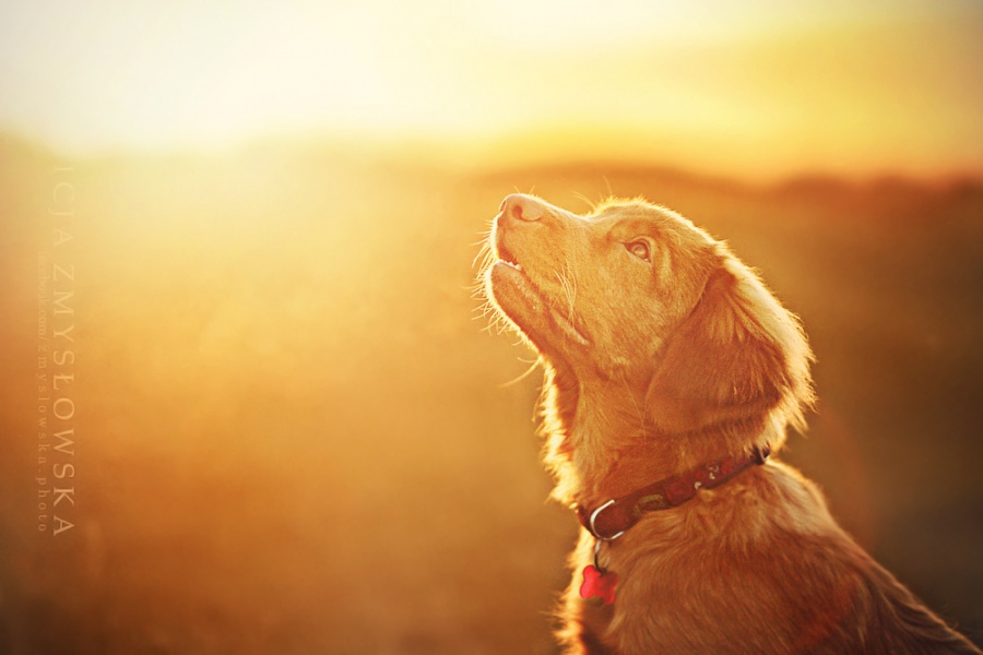 Ad:  k44.jpg
Gsterim: 138
Boyut:  101.1 KB