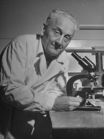 Ad:  Albert Szent-Gy�rgyi.jpg
G�sterim: 1264
Boyut:  33.6 KB