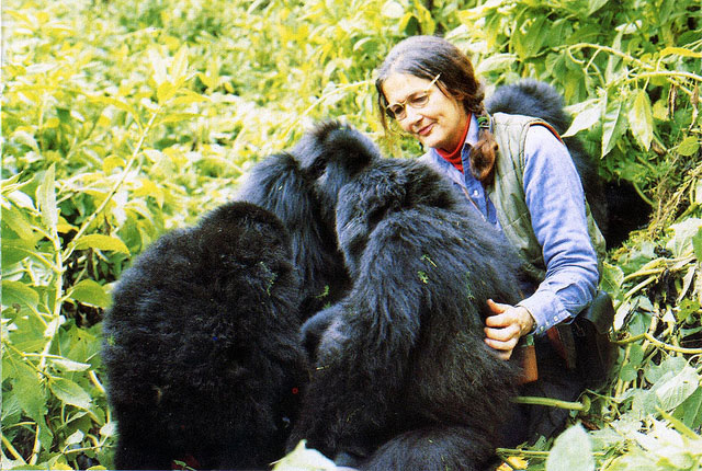 Interesting facts about dian fossey picture