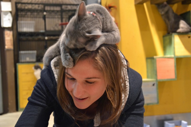 Ad:  2338260-R3L8T8D-650-DSC_4593_edited-1.jpg
Gsterim: 252
Boyut:  85.5 KB