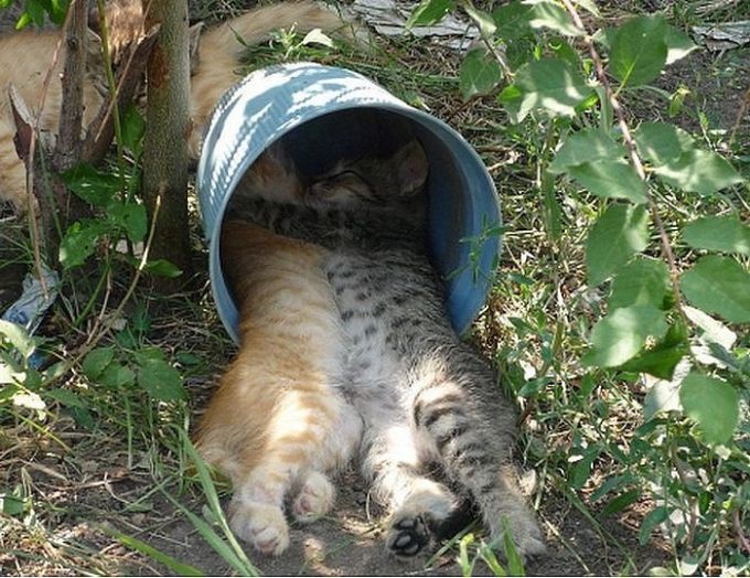 Ad:  3953610-680-14474160967_13.jpg
Gsterim: 400
Boyut:  136.8 KB