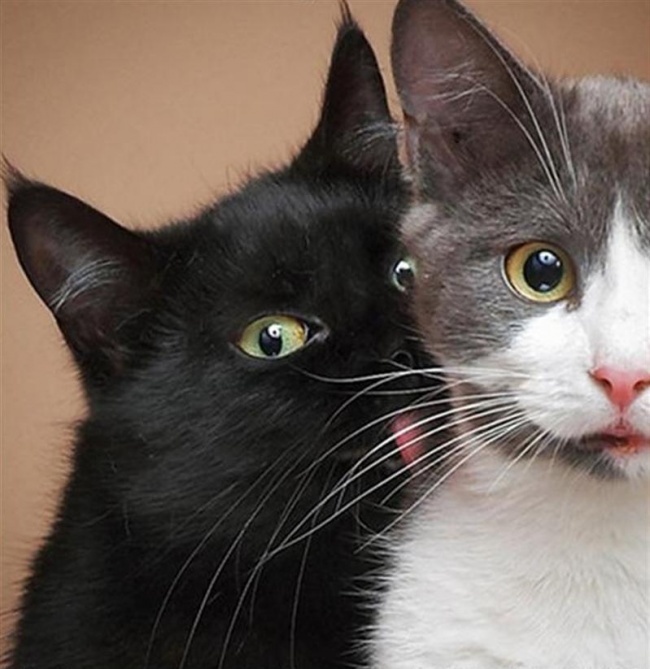 Ad:  11777310-R3L8T8D-650-11.jpg
Gsterim: 158
Boyut:  113.1 KB