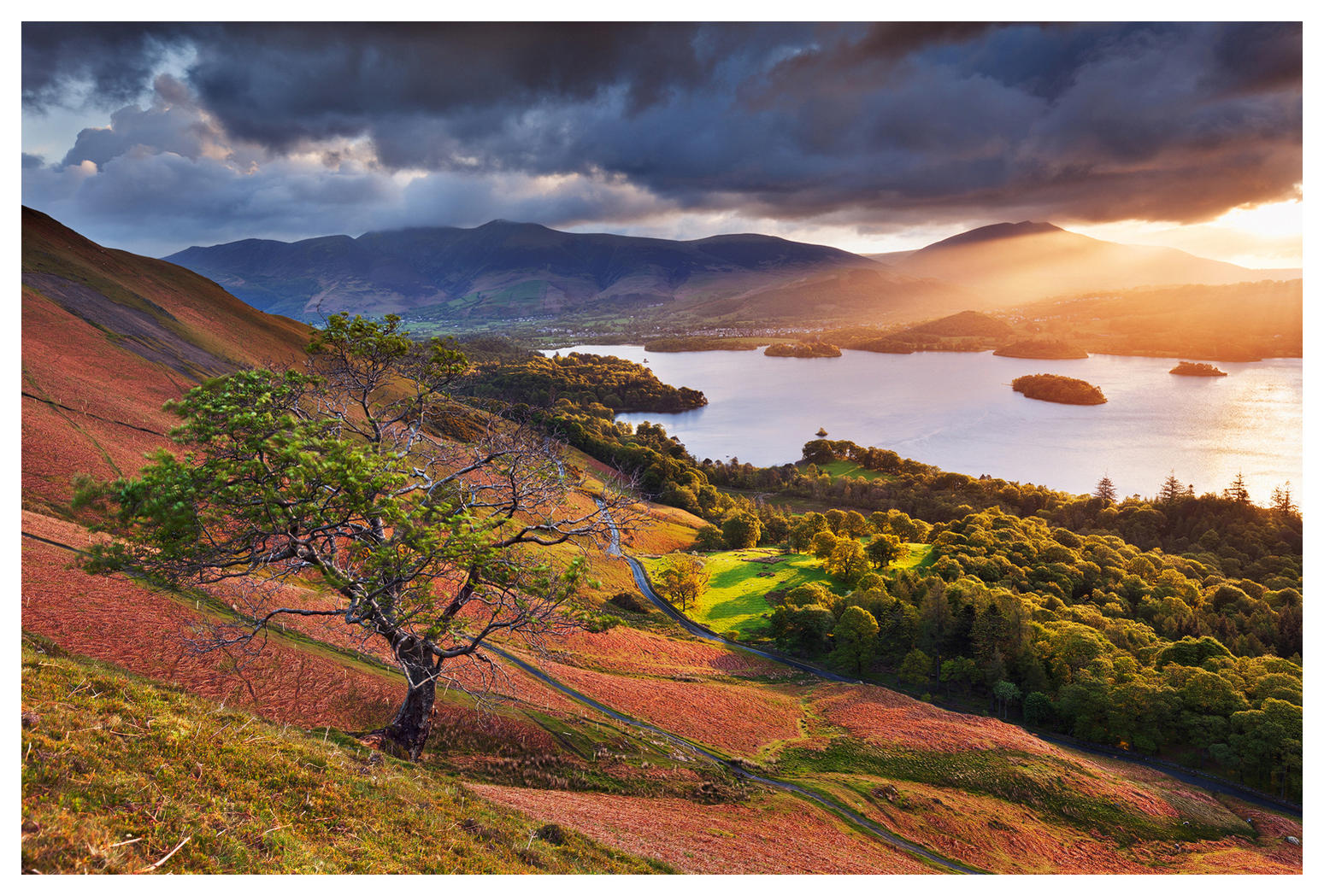 Ad:  catbells_by_svenmueller-d9k8lgs.jpg
G�sterim: 1229
Boyut:  416.4 KB