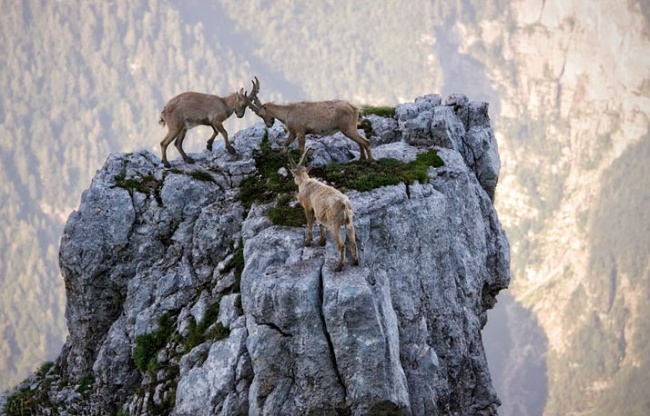 Ad:  ke.jpg
Gsterim: 183
Boyut:  123.4 KB