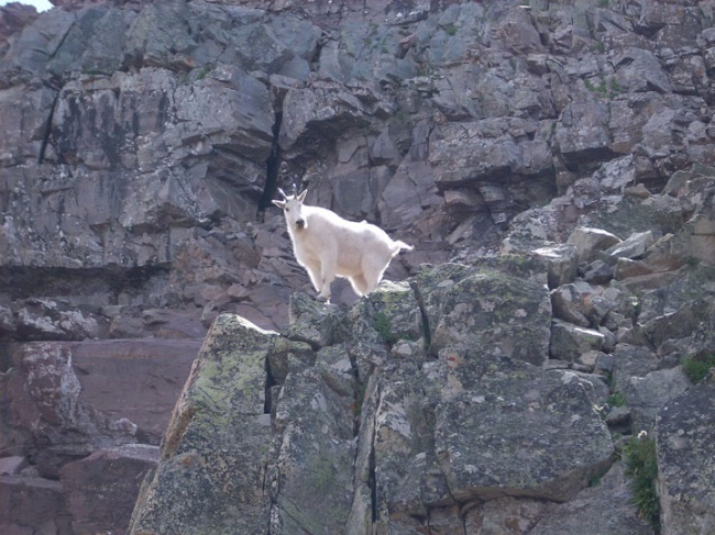 Ad:  ke5.jpg
Gsterim: 372
Boyut:  145.7 KB