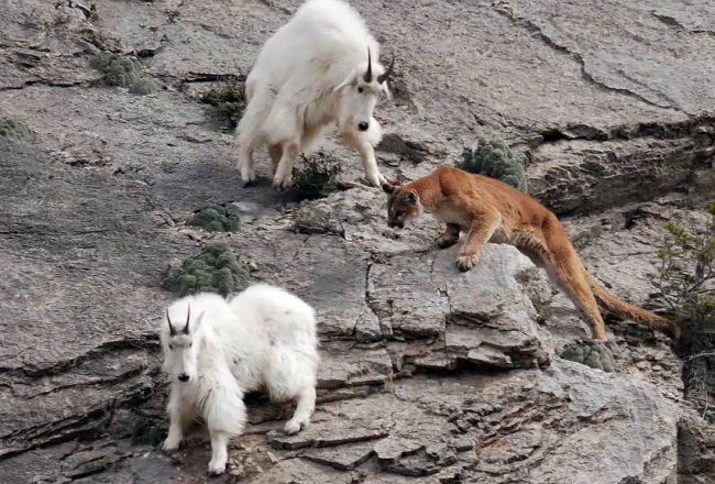 Ad:  ke14.jpg
Gsterim: 159
Boyut:  160.5 KB