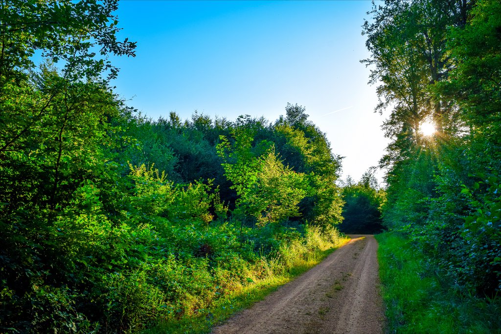 Ad:  last_days_of_summer_by_aenea_jones-d9ekjb8.jpg
Gsterim: 91
Boyut:  264.3 KB