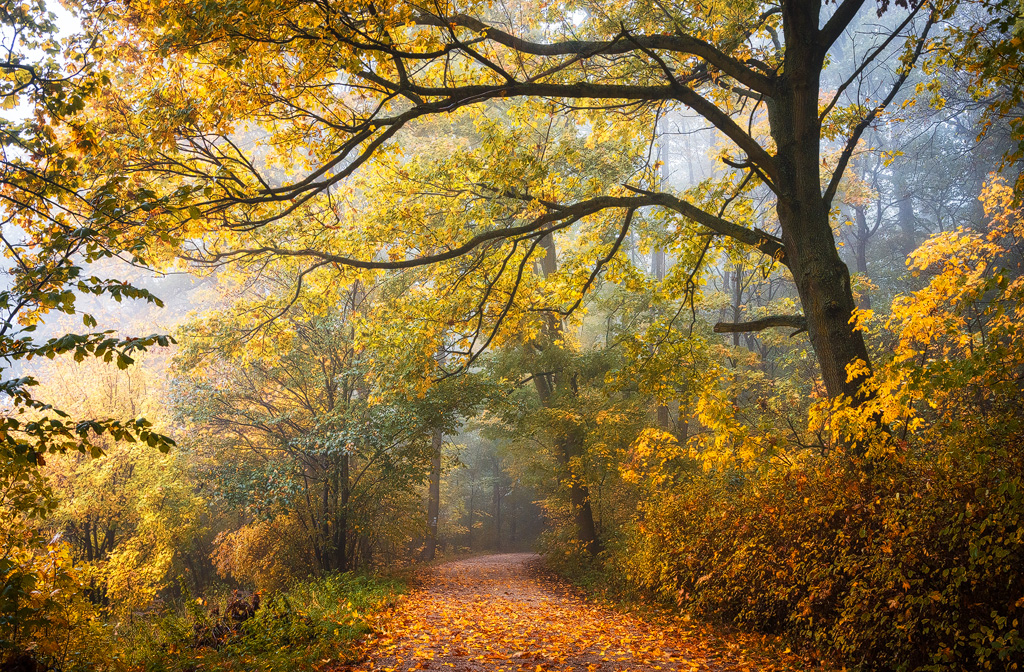 Ad:  hei_6772d_by_heikogerlicher-d9ds43a.jpg
Gsterim: 86
Boyut:  751.8 KB