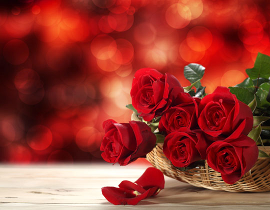 Ad: kirmizi-gul.jpg
Gösterim: 4811
Boyut: 47.4 KB