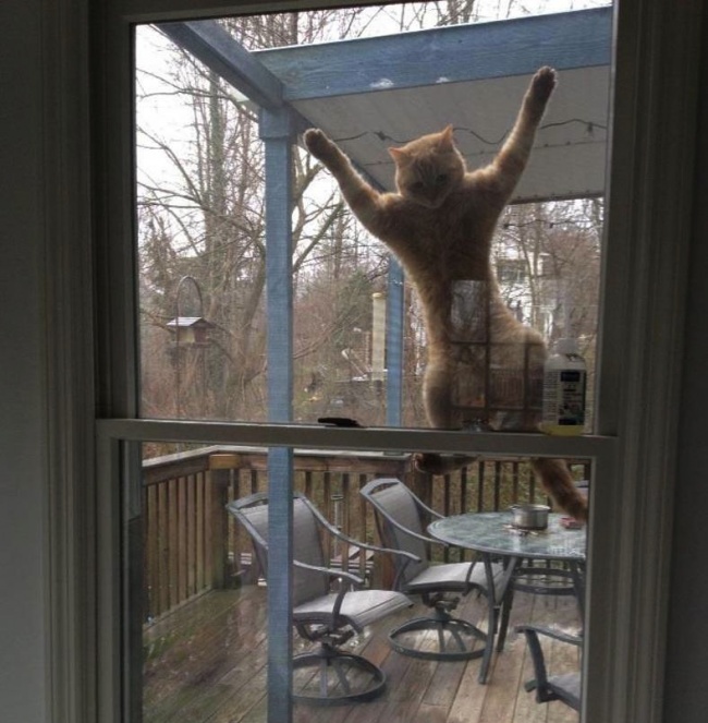 Ad:  48.jpg
G�sterim: 188
Boyut:  131.1 KB