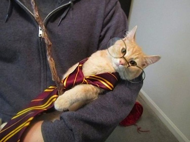 Ad:  51.jpg
G�sterim: 191
Boyut:  87.2 KB