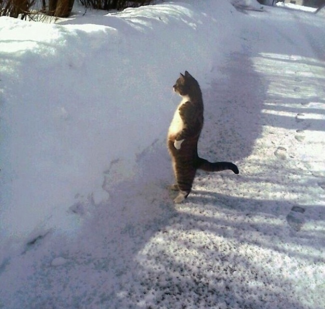 Ad:  56.jpg
G�sterim: 151
Boyut:  122.1 KB