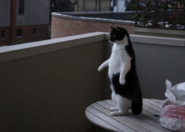 Ad:  58.jpeg
Gsterim: 234
Boyut:  65.6 KB